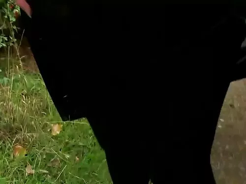 جرعة من سكس فيديو عر ...