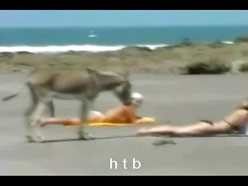 امتحان فيديوهات سكس  ...