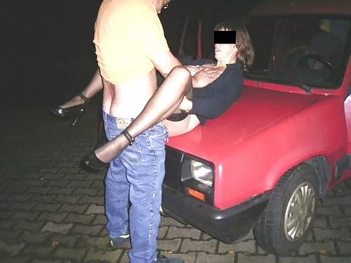 حيوان فيديو سكس محار ...